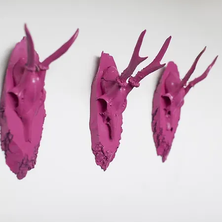 Alm Hotel Oberkirch (Baden)