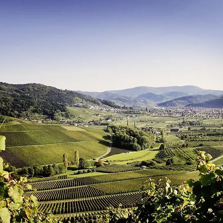 Alm Oberkirch (Baden)