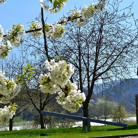 Alm Oberkirch (Baden)